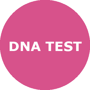 dna kit